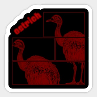 Ostrich Sticker